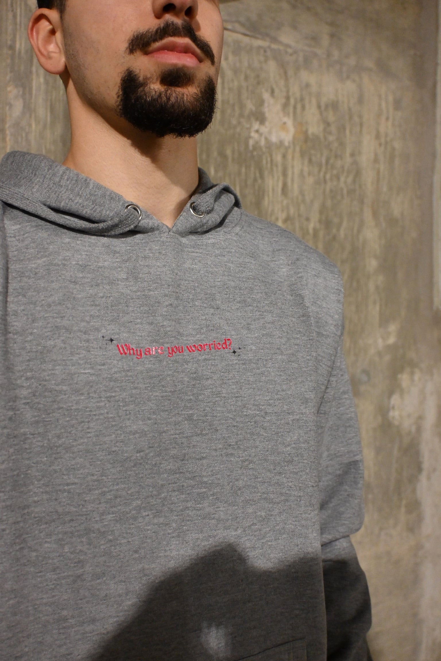 "Why Are You Worried?" Hoodie - Unisex