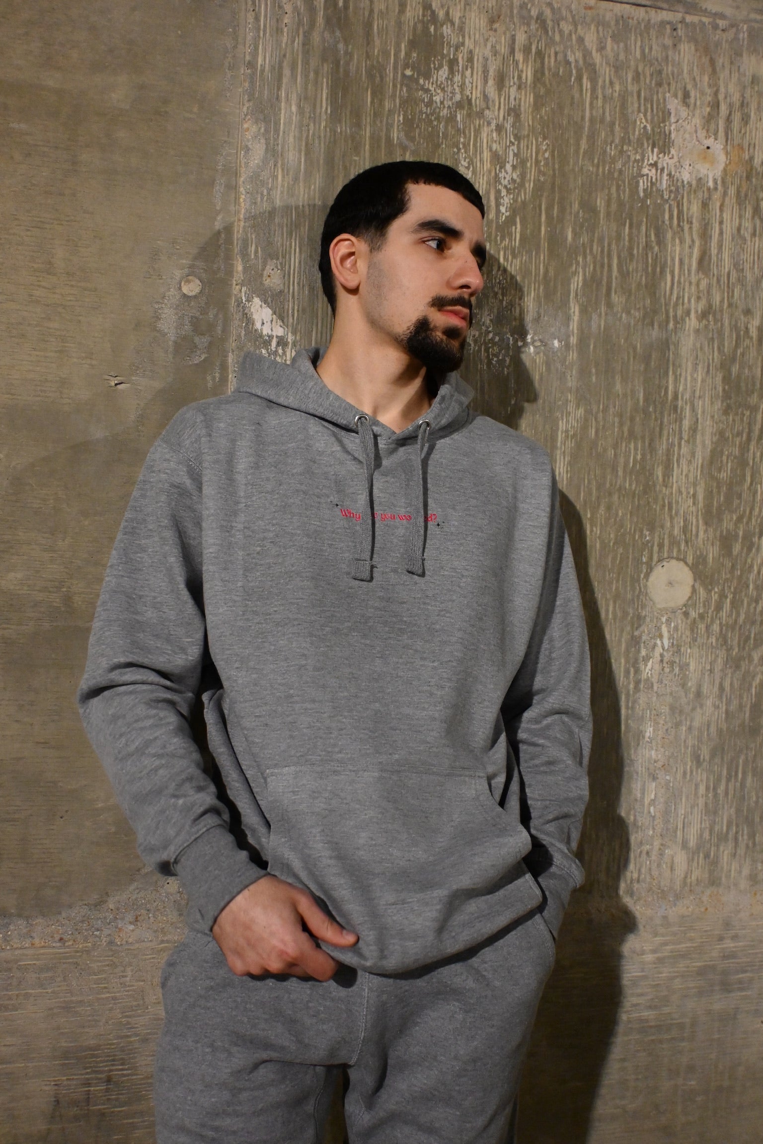 "Why Are You Worried?" Hoodie - Unisex